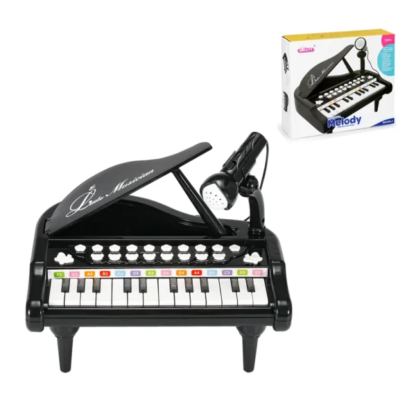 Kids Electronic Keyboard Piano Toys Kids Musical Instrument with Microphone Mini Piano Toys Educational Toys for Kids Gifts